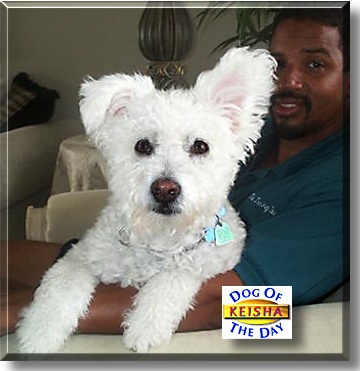 Keisha, the Dog of the Day