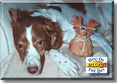 Megan, the Dog of the Day