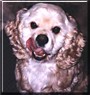 Charlie