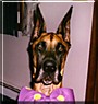 Samson