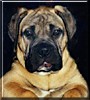 Abby