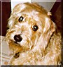 Quincy