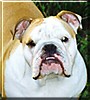 Lucy
