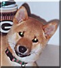Keiko