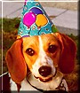 Daisy