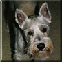 Jack
