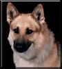 Bruno