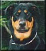 Xena