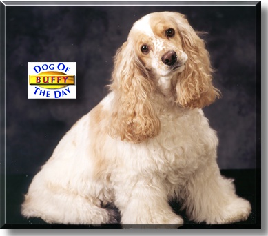 Buffy, the Dog of the Day