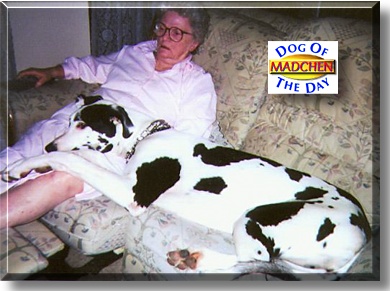 Madchen, the Dog of the Day