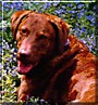 Etta