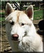 Benny