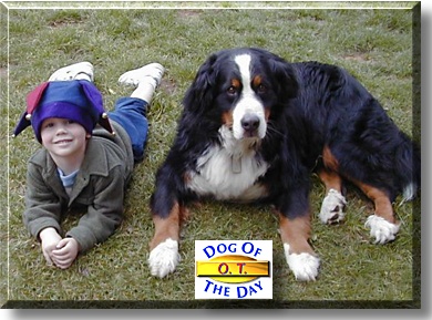 O.T., the Dog of the Day