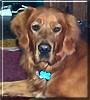Zak