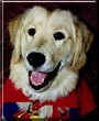 Bailey