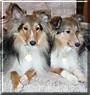 Chewie, Princess