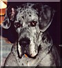 Tex