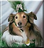 Heidi