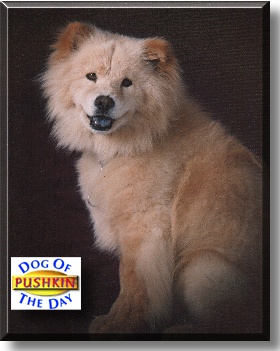 Pushkin, the Dog of the Day