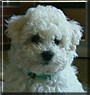 Baxter