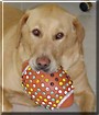 Mr. Max
