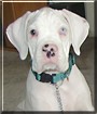 Casper
