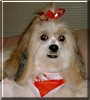 Yuki