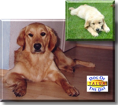 Talua, the Dog of the Day