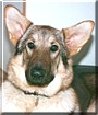 Dixie