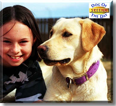 Skeena My Girl, the Dog of the Day