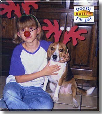 Bailey, the Dog of the Day