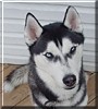 Kodi