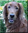 Sam
