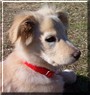 Sadie