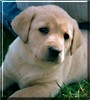 Bailey