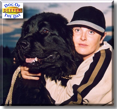 Deefer, the Dog of the Day