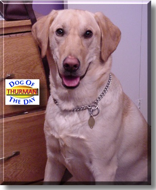 Thurman, the Dog of the Day