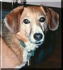 Betty