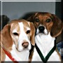 Jake, Sadie