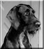 Satchmo