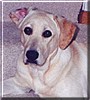 Zo&euml;