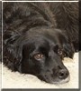 Maggie