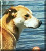 Kiska
