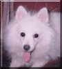 Romy