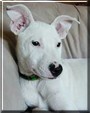 Boo Radley
