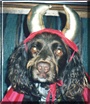 Molly