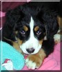 Abby