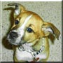 Maddy