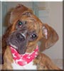 Sadie