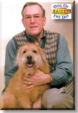 Bailey, the Dog of the Day